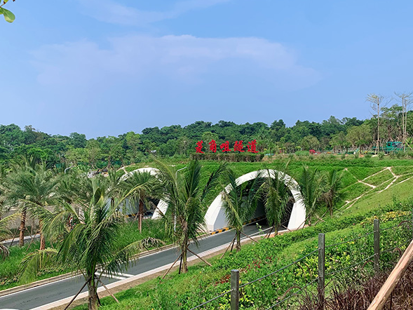 20260601630845.png 珠海情侶路菱角咀隧道.png